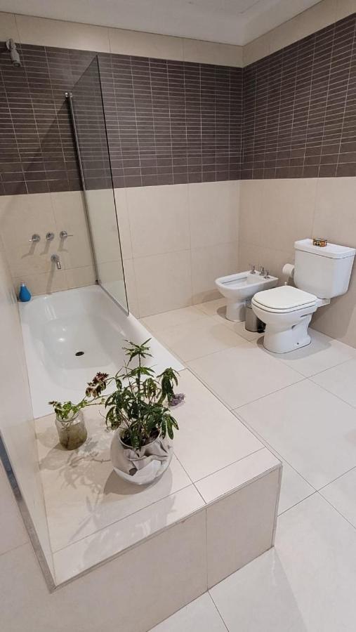 Vivaterra Apartments - San Telmo Buenos Aires Dış mekan fotoğraf
